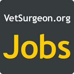 VetSurgeon Jobs photo
